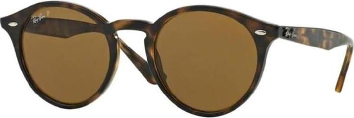 Tortoise, Brown