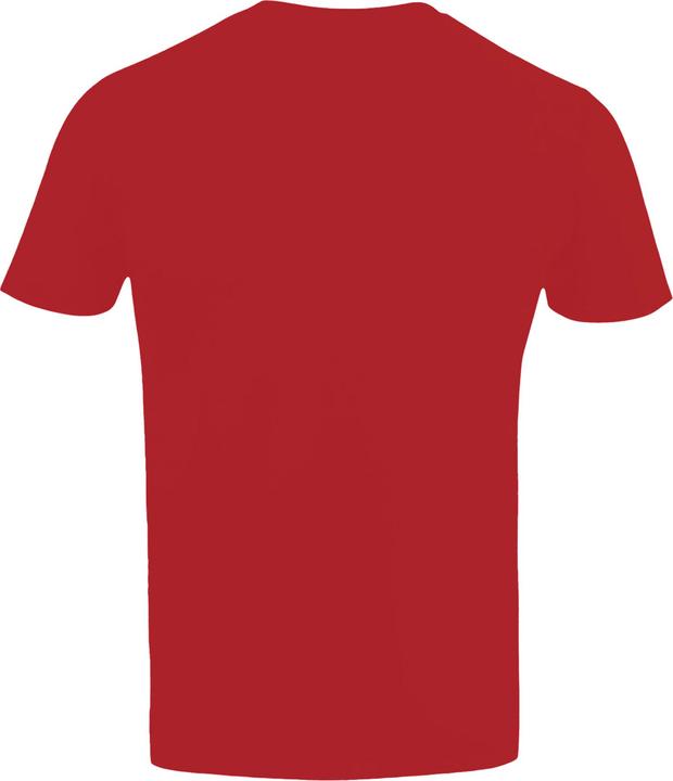 Actual product image Arsenal FC Gunners Tshirt (M)
