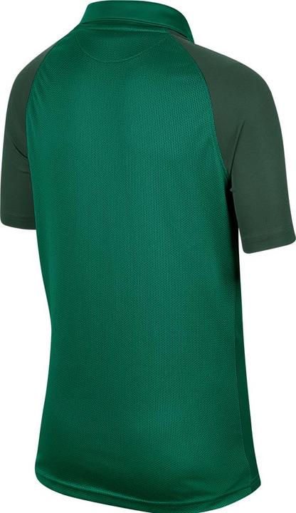 Produktbild Nike Trophy Iv Trikot Kurzarm Kids (M)