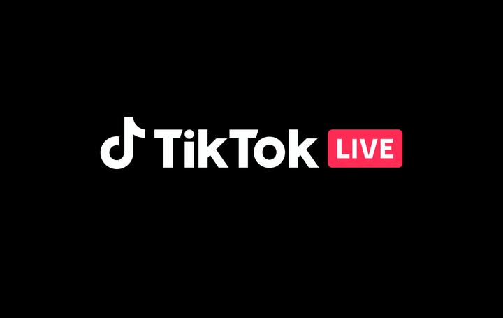 TikTok 2,350 coins (35 EUR)