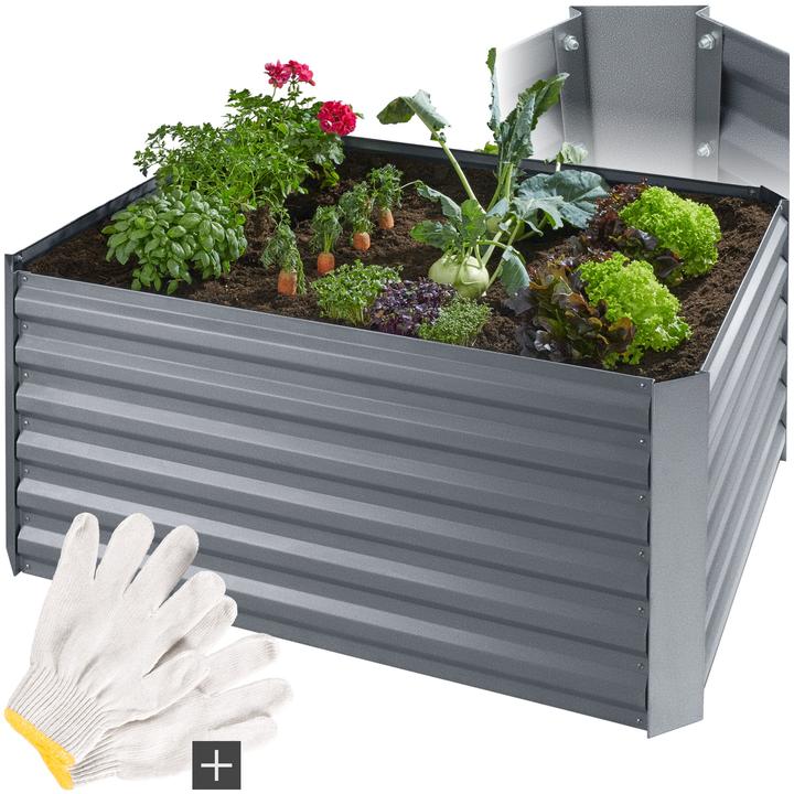 Produktbild tectake Salvia