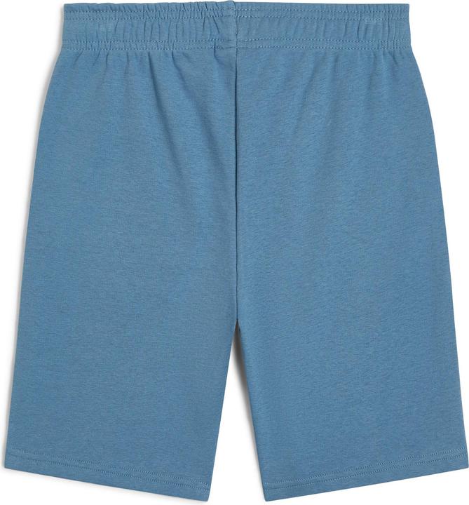 Image du produit O'Neill Logo Sweatshorts (176)
