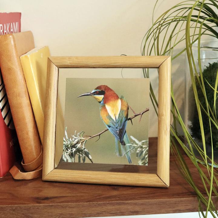 Produktbild Kikkerland Floating Frame Medium (10 x 10 cm)