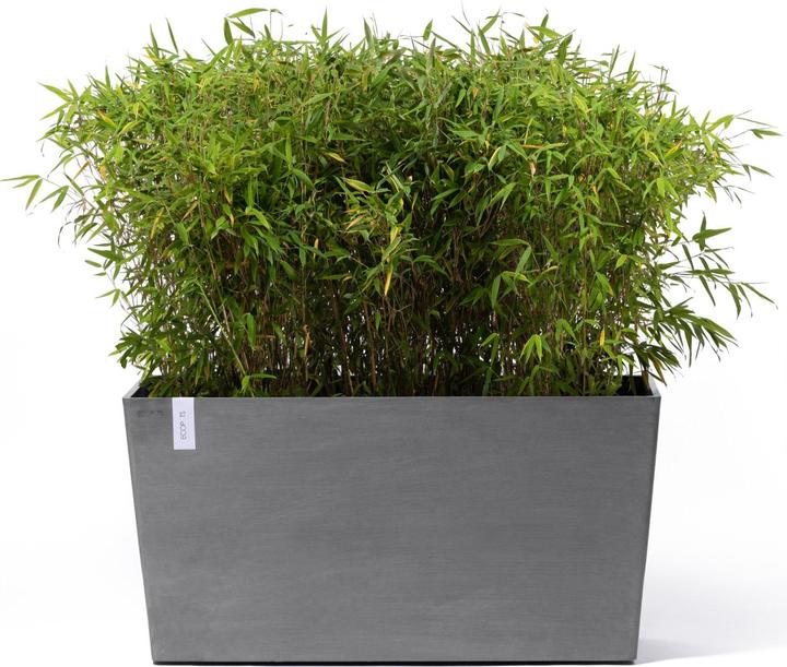 Actual product image Ecopots Paris Wheels (40 cm)