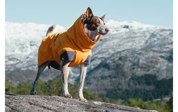 Immagine prodotto Hurtta Spedizione (40, Cappotto per cani)