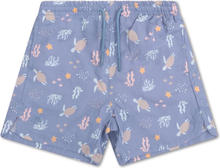 Blue Sealife