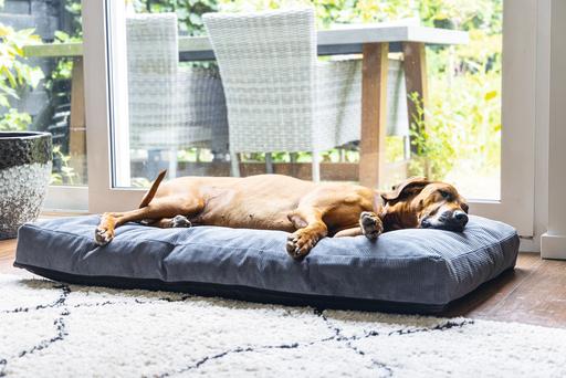 Immagine prodotto Beeztees Cuscino ortopedico per divano Veo (Cane)