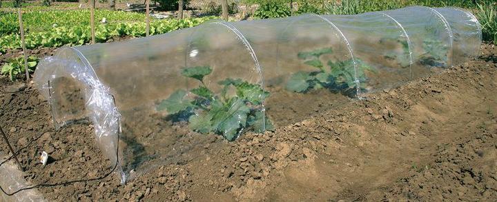 Produktbild Verdemax Tunnel-Set