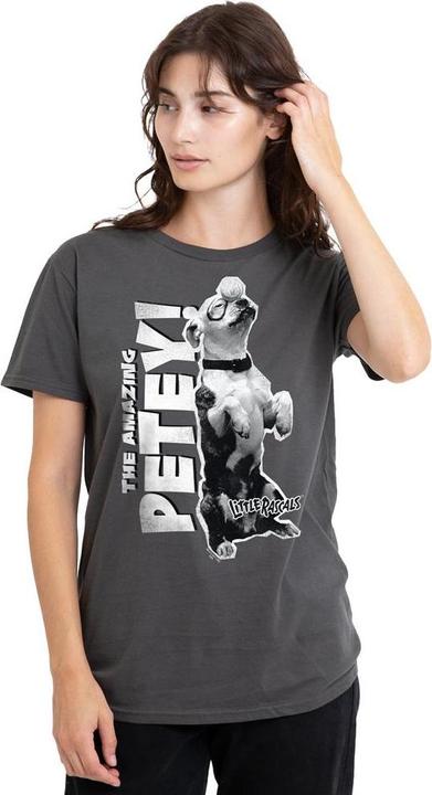 Actual product image The Little Rascals Unisex Adult Amazing Petey T-Shirt (L)
