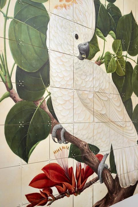 Actual product image Ixxi Cockatoo (80 x 100 cm)
