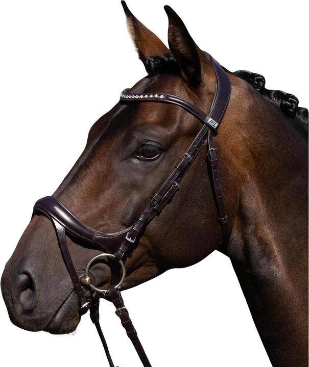 Actual product image Premier Equine Palazzo