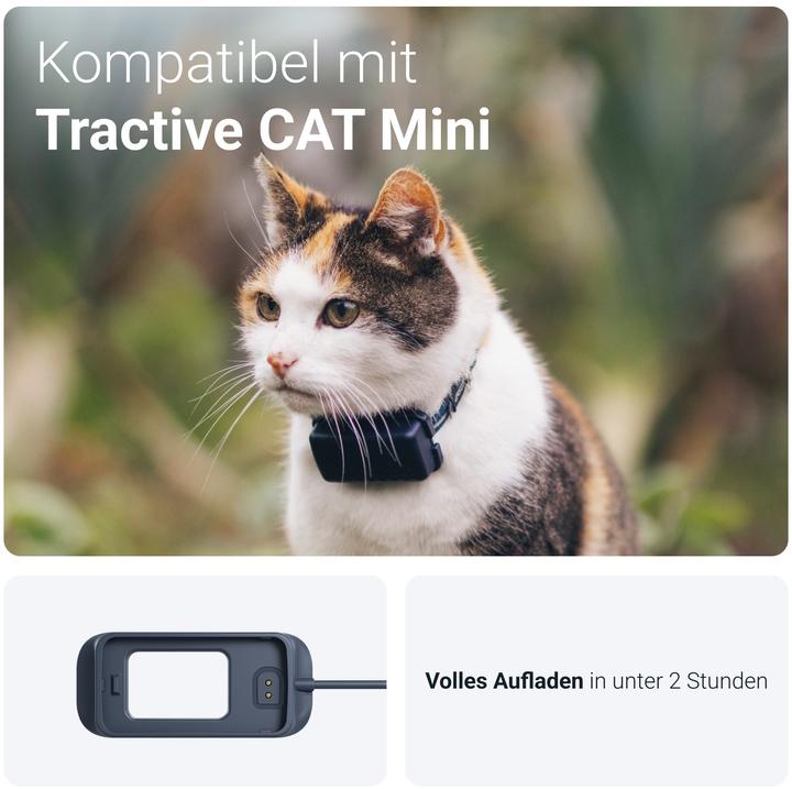 Actual product image Tractive GPS CAT charging cable with USB-C cable (Cat, General)
