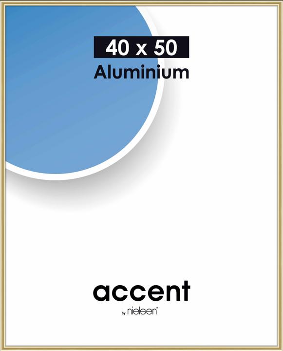 Image du produit Nielsen Accent (40 x 50 cm)