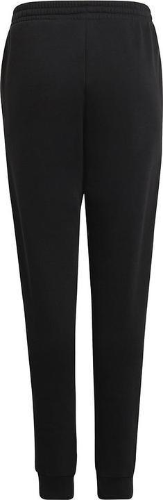 Actual product image adidas Entrada 22 sweatpants kids (152)