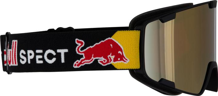 Park Gold ski goggles