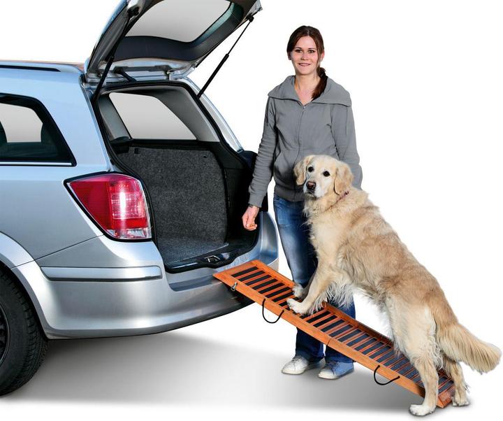 Actual product image Karlie Dog ramp (Dog, Foldable)