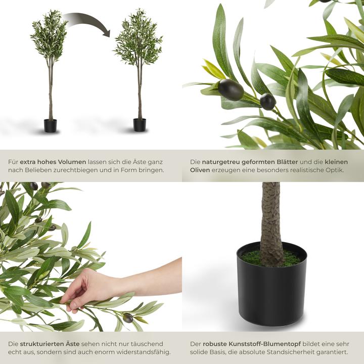 Produktbild tectake Olivenbaum Oleand (150 cm)