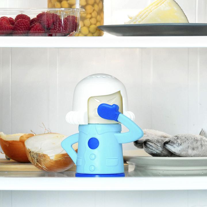 Actual product image TOP Fridge deodorant
