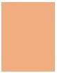 Actual product image Estée Lauder Double Wear Stay-In-Place (3C2 Pebble)
