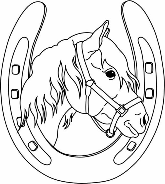 Image du produit Un grand plaisir de coloriage pour les amateurs de chevaux