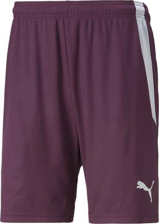 Produktbild Puma teamLIGA Shorts (XXL)