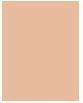 Actual product image Maybelline New York Maybelline - Fit Me Matte Poreless Pressed Powder Face Matting Pudding In Compact 120 Classic Ivory (120 Classic Ivory)