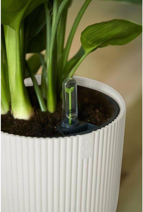 Actual product image Elho Vibes Fold (25 cm)