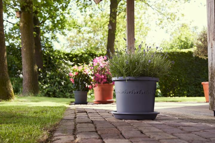 Actual product image Elho Algarve Cilindro (24.50 cm)
