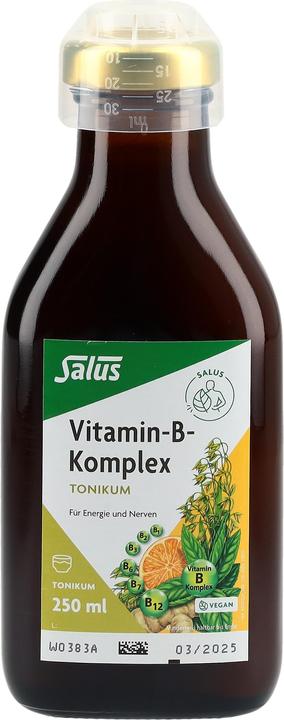 Image du produit Salus Vitamin-B-Komplex (1 pièce(s), Liquide, 601 g)