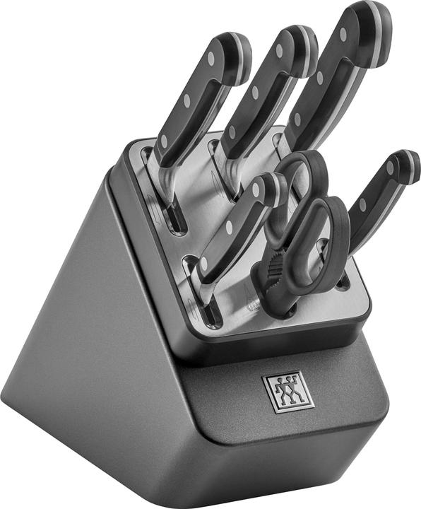 Immagine prodotto Zwilling Ceppo di coltelli autoaffilanti Professional S da 7 pezzi
