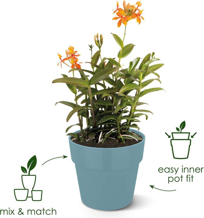 Actual product image Elho B.for Original Round (35 cm)