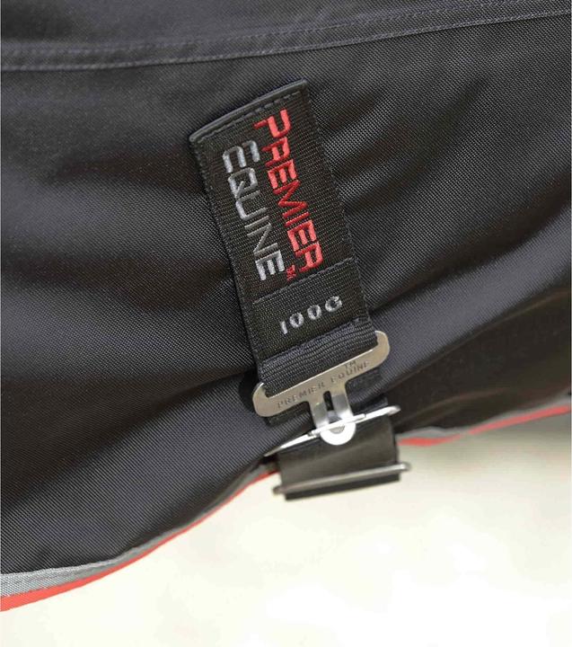 Image du produit Premier Equine 100 g (152 cm)
