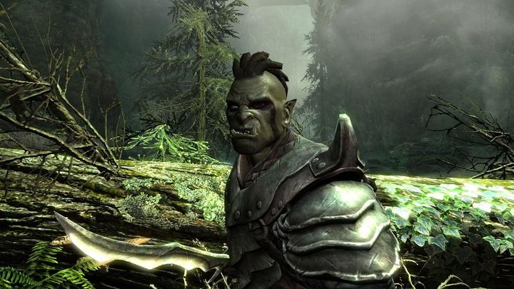 Produktbild Bethesda The Elder Scrolls V: Skyrim (Switch, Multilingual)