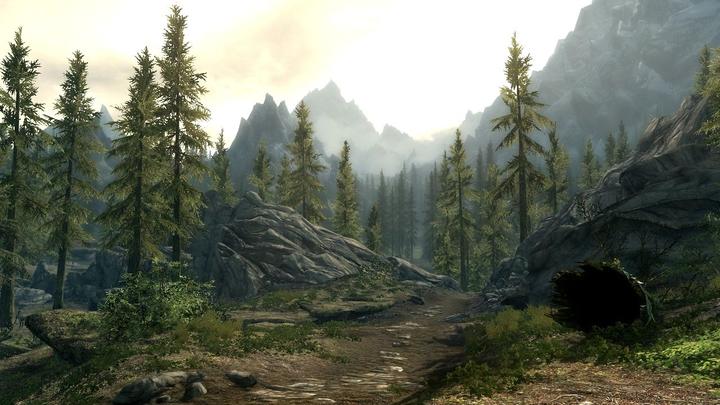Produktbild Bethesda The Elder Scrolls V: Skyrim (Switch, Multilingual)