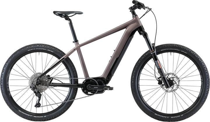 Allegro E-Mountainbike CrossTour Pro AXM°04 27.5 Grau/Schwarz (1.35 cm)