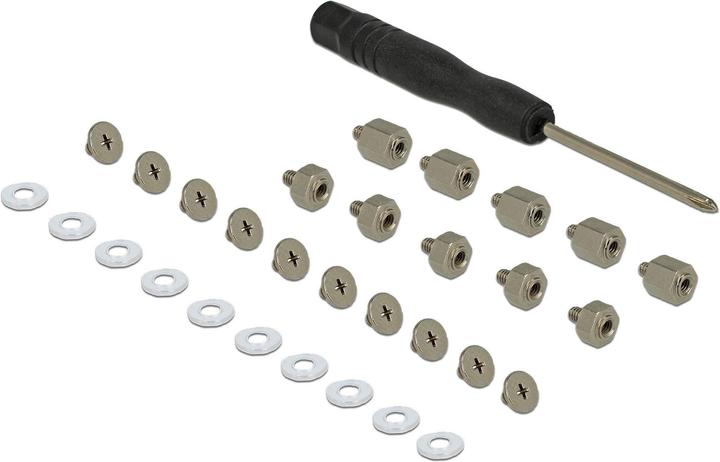 Delock Befestigungsset 31-teilig für M.2 SSD / Modul