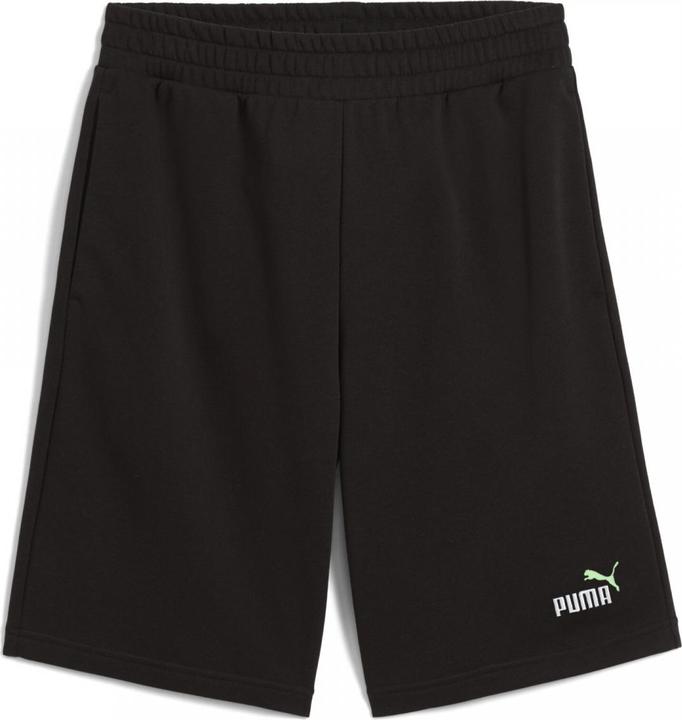 Image du produit Puma ESS 2 COLOR No. 1 Logo Shorts 10" TR (M)