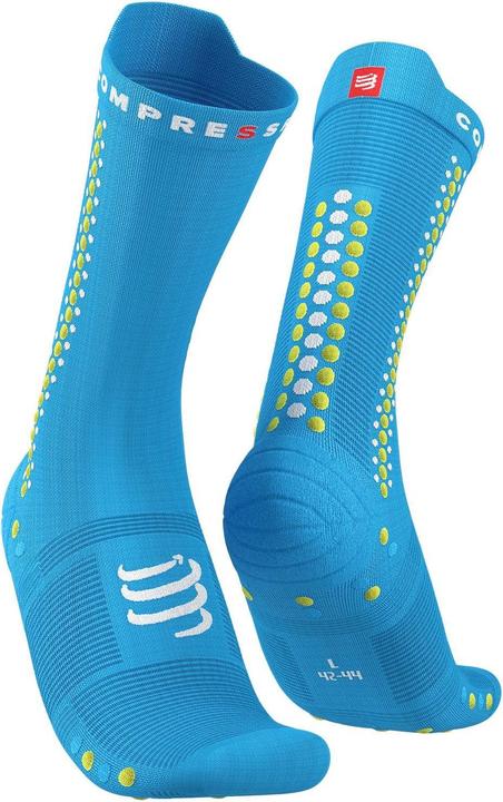 Primevère bleu fluo