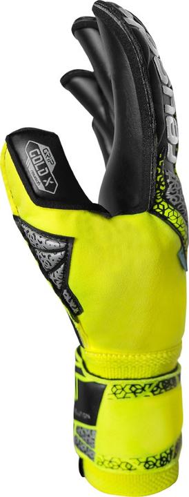 Actual product image Reusch Goalkeeper glove Attrakt Gold X Evolution (9.5)