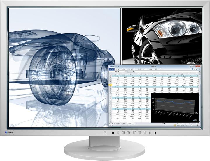 Eizo EV2430 FlexScan (1920 x 1200 pixels, 24")