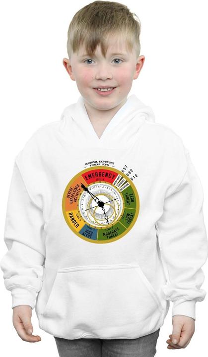 Image du produit Fantastic Beasts - Sweat à capuche THREAT LEVEL - Garçon (140, 146)