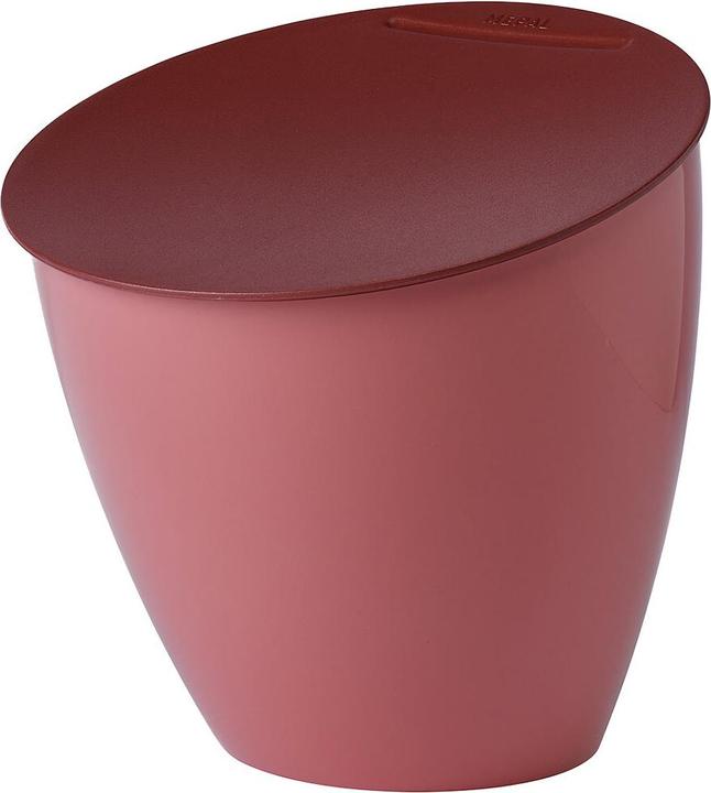 Vivid Mauve