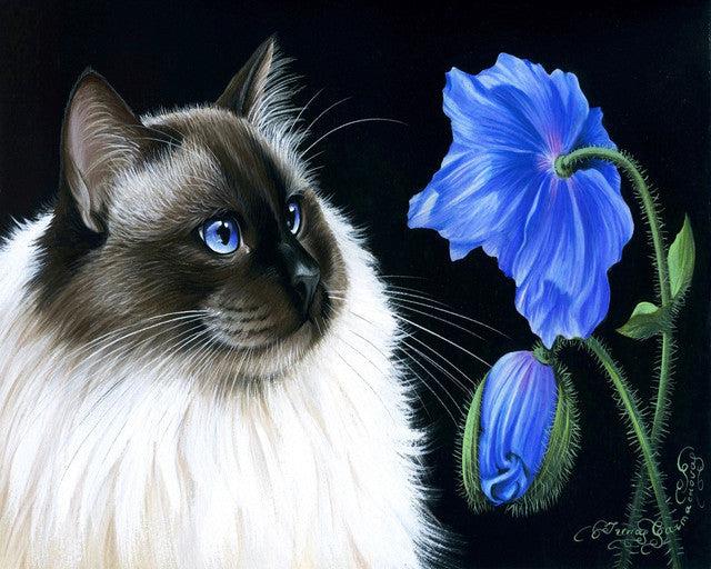 Produktbild Figured'Art Malen nach Zahlen - Katze und Blume auf Keilrahmen gespannt