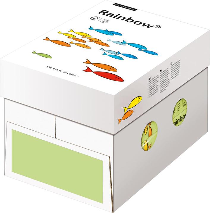 Immagine prodotto Rainbow Carta per fotocopie (80 g/m², 500 x, A4)