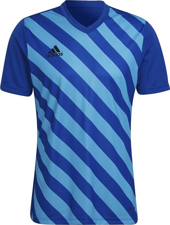 Produktbild adidas Entrada 22 Graphic Fussballtrikot Herren (XL)