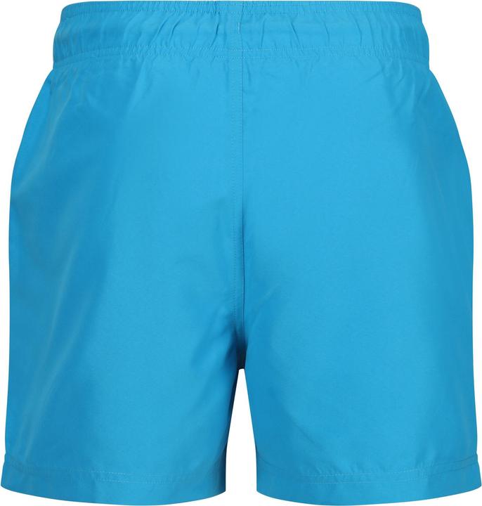 Actual product image Regatta Mens Mawson II Swim Shorts (XXL)