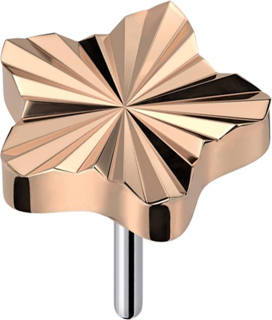 Produktbild Star Piercing Threadless Diamantschliff Scheibe Stern rosegold (Titan G23, ohne Messing)
