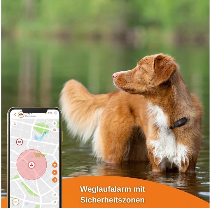 Produktbild Weenect GPS-Tracker (Apple, Android)