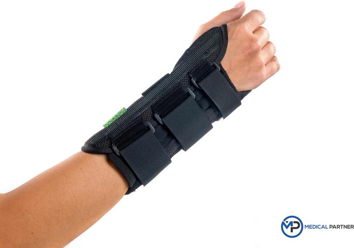 Image du produit BraceID D-Ring kurz (L)