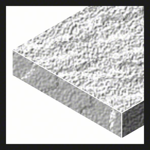 Produktbild Bosch Professional Zubehör PRO F355 Schleifblatt, 125 mm, G100 (100)